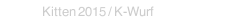 Kitten 2015 / K-Wurf